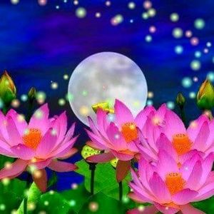 Meet your Posher, Jill